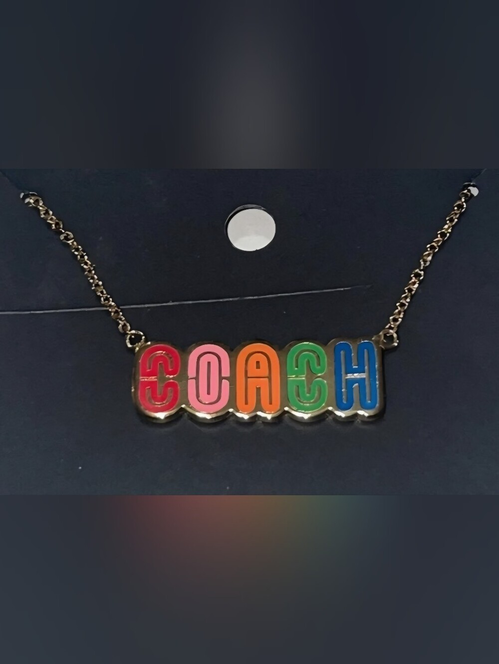 Coach Pride Necklace